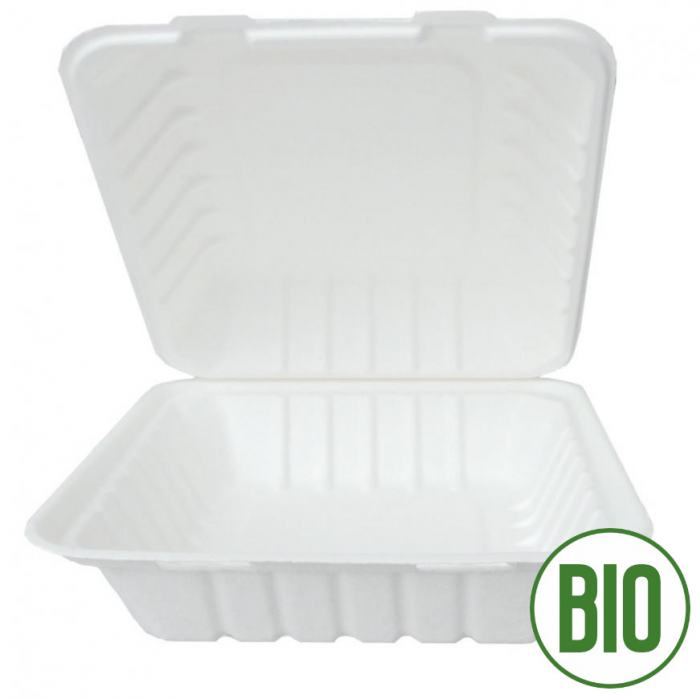 Lunchbox mit Klappdeckel 23,0x23,0x8,5cm Zuckerrohr